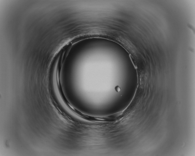 X0000097780436200803141811