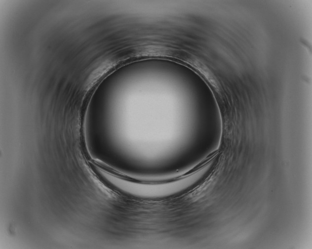 X0000097780437200803141811