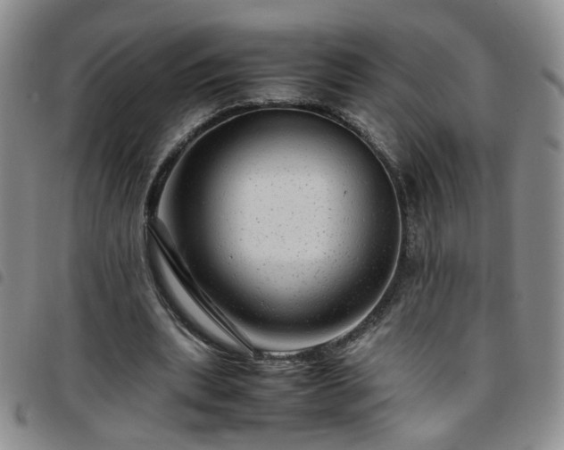 X0000097780439200803141811