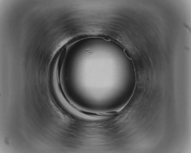 X0000097780440200803141811