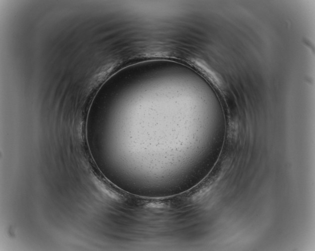 X0000097780441200803141811