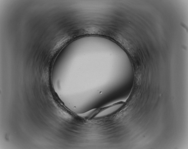 X0000097780442200803141811