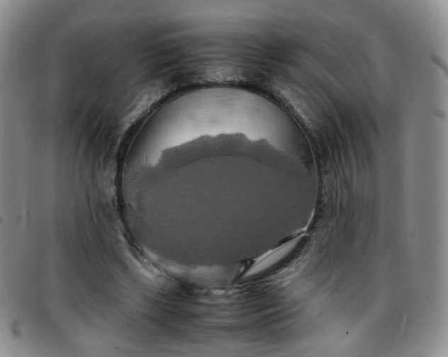 X0000097780443200803141811