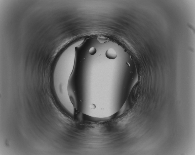 X0000097780444200803141811