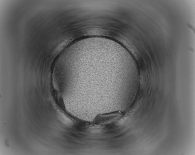 X0000097780445200803141811