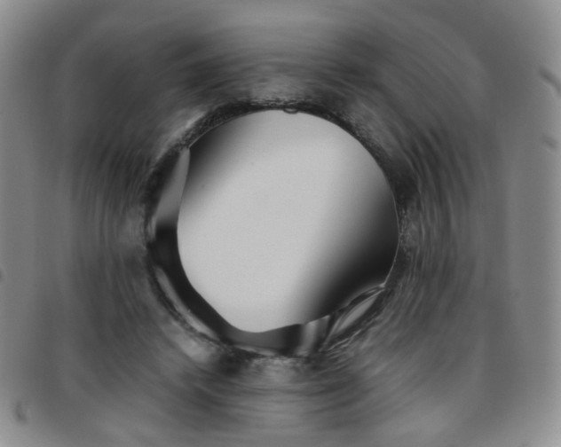 X0000097780448200803141811