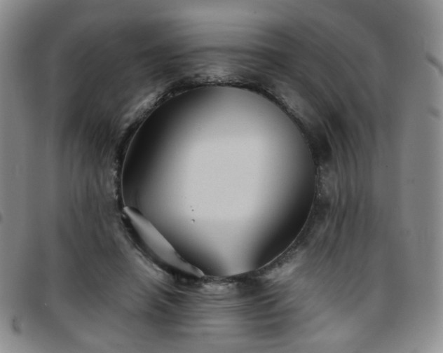 X0000097780450200803141811