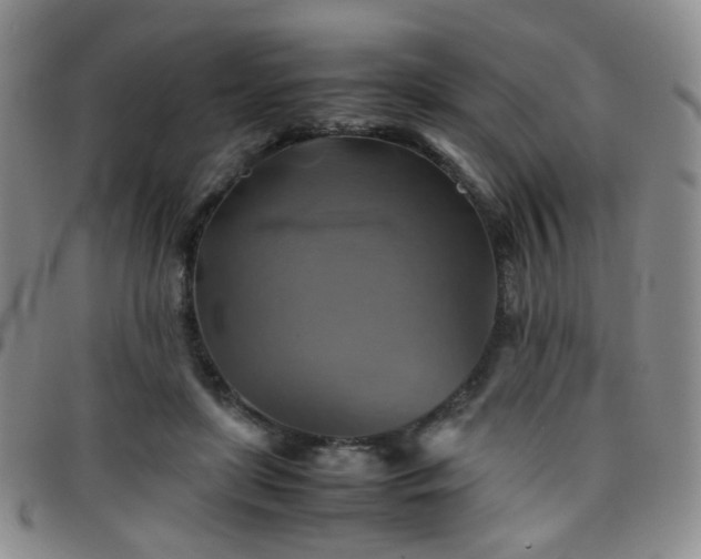 X0000097780451200803141811