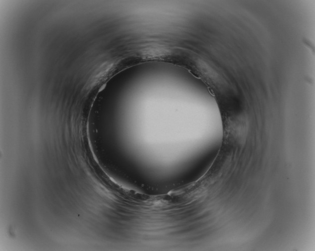 X0000097780452200803141811