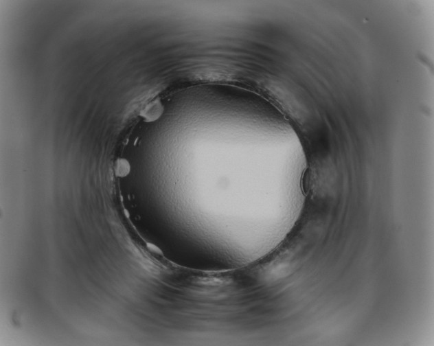 X0000097780453200803141811