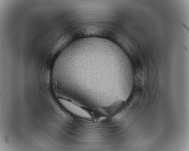 X0000097780454200803141811