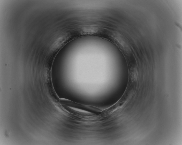 X0000097780455200803141811