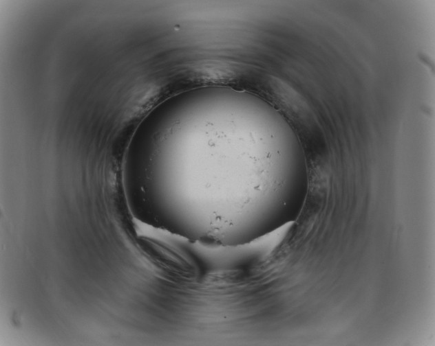 X0000097780456200803141811