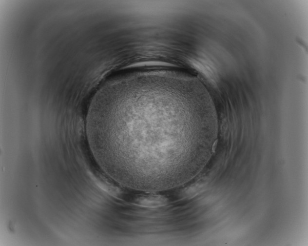 X0000097780459200803141811