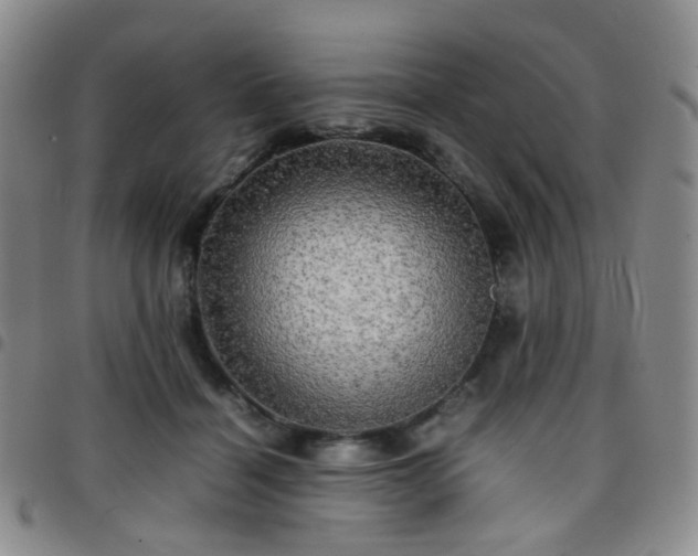 X0000097780460200803141811