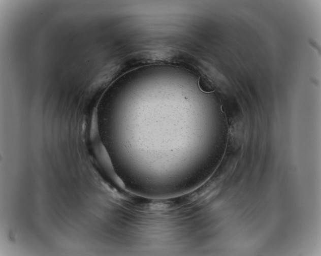 X0000097780462200803141811