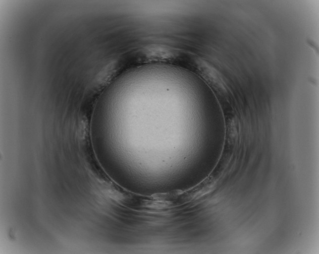 X0000097780463200803141811