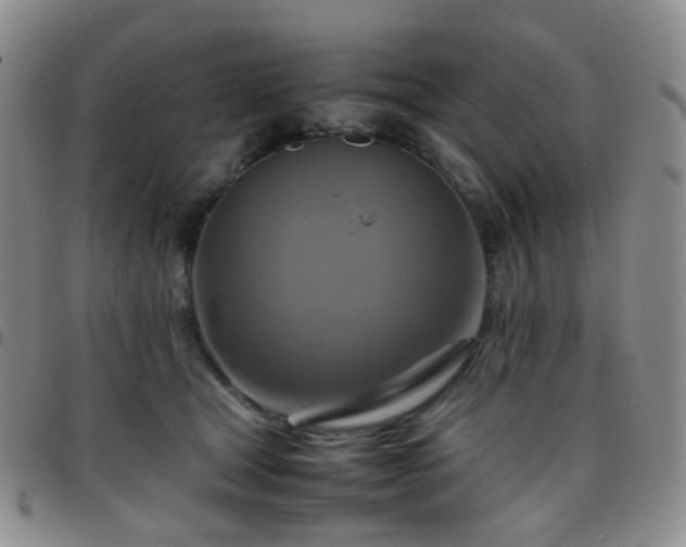 X0000097780465200803141811