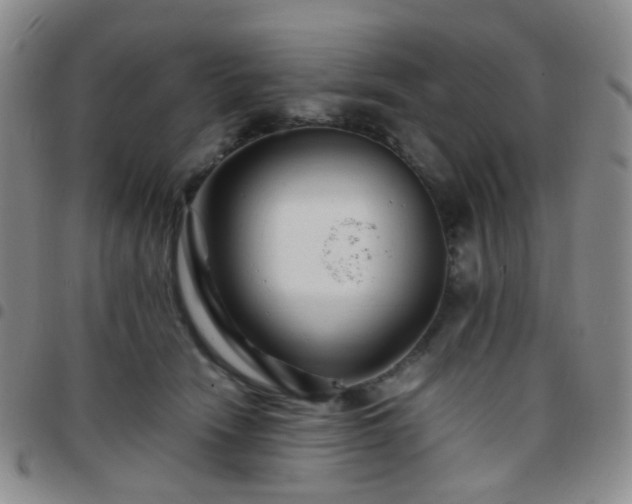 X0000097780466200803141811