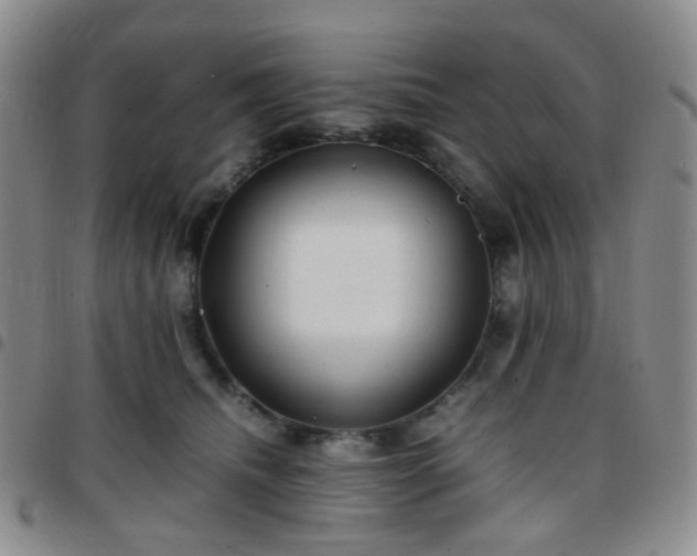 X0000097780468200803141811