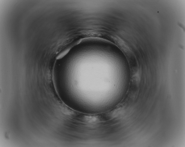 X0000097780469200803141811