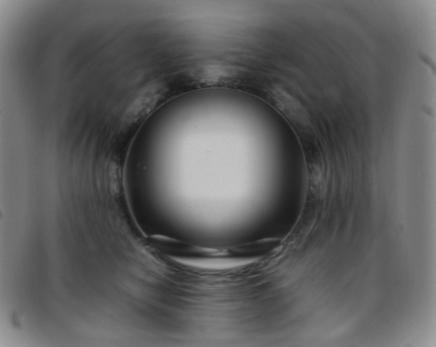 X0000097780470200803141811