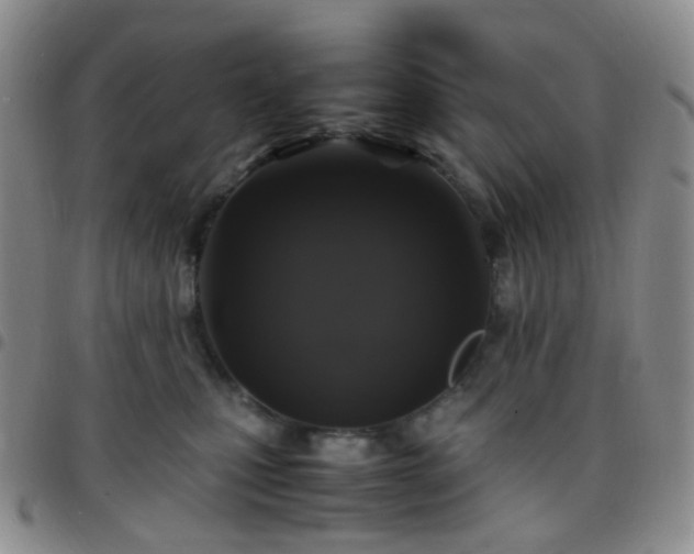 X0000097780471200803141811