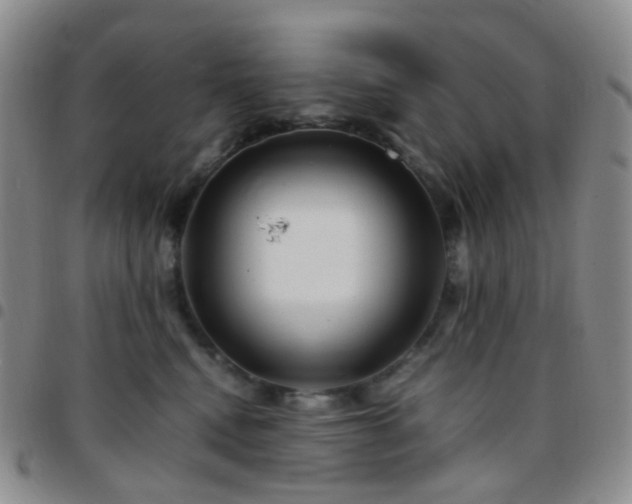 X0000097780472200803141811