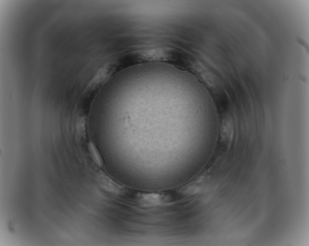 X0000097780473200803141812