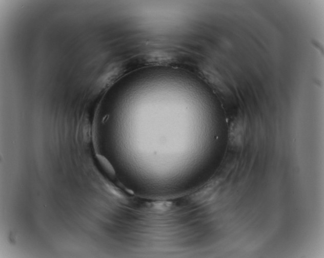 X0000097780474200803141812