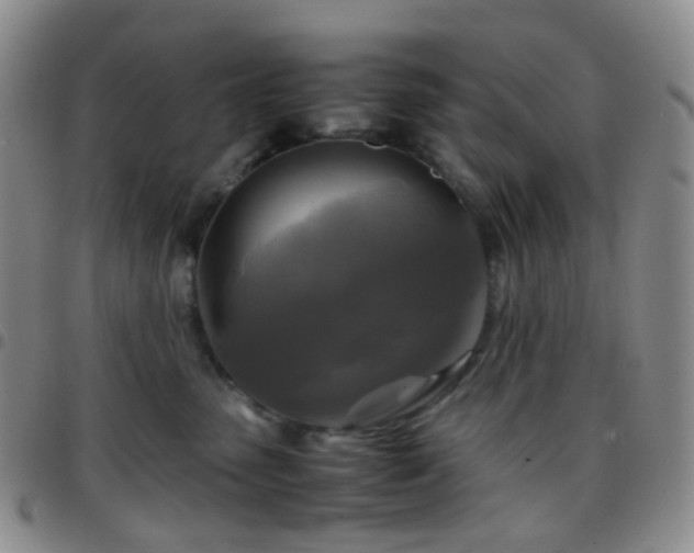 X0000097780475200803141812