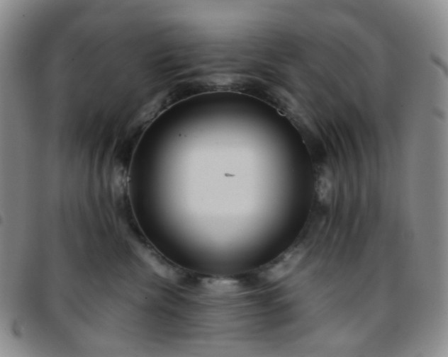 X0000097780476200803141812