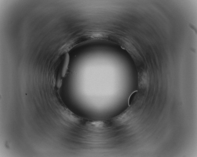 X0000097780478200803141812