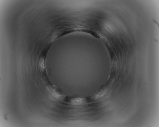 X0000097780479200803141812