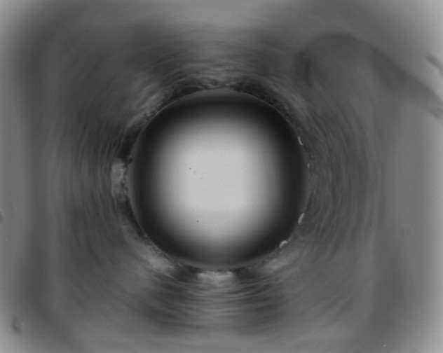 X0000097780480200803141812