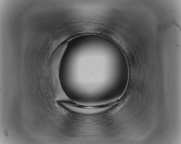 X0000097780481200803141811