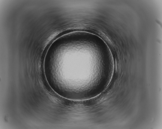 X0000097780483200803141811