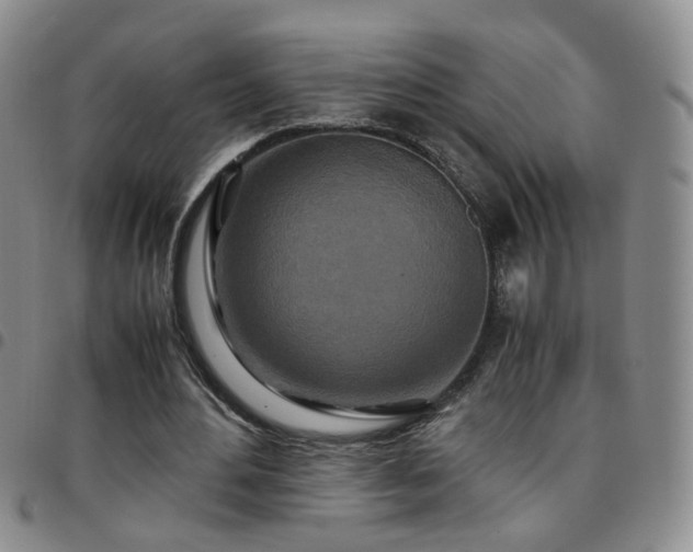 X0000097780484200803141811