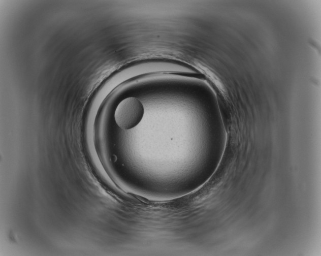 X0000097780485200803141811