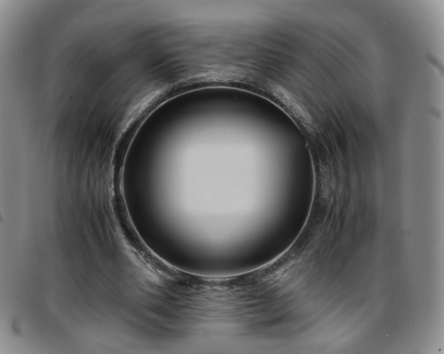 X0000097780486200803141811