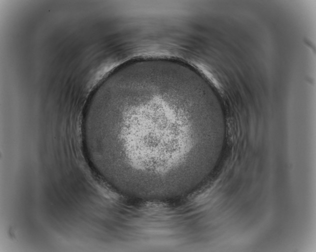 X0000097780487200803141811