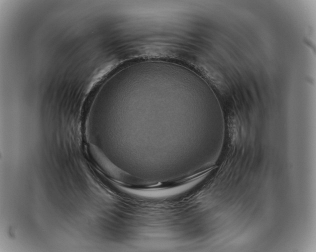 X0000097780488200803141811