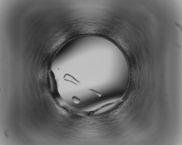 X0000097780489200803141811