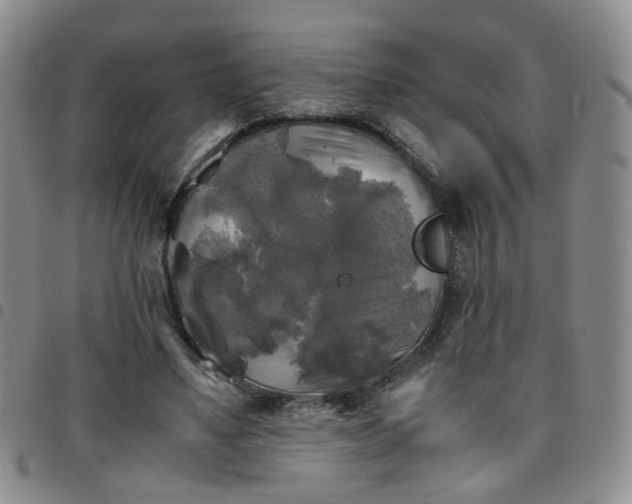 X0000097780491200803141811