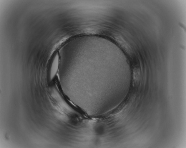 X0000097780492200803141811