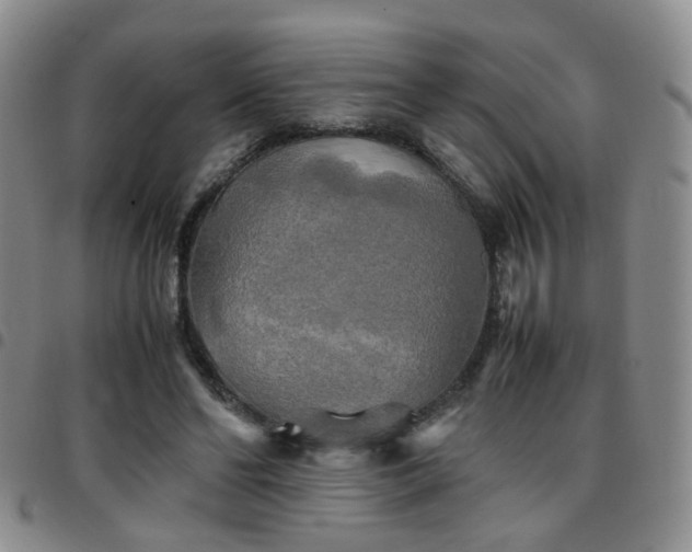 X0000097780494200803141811