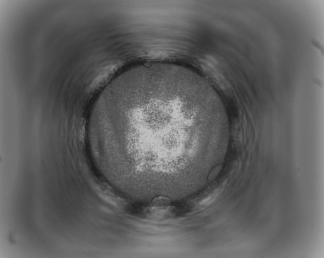 X0000097780495200803141811