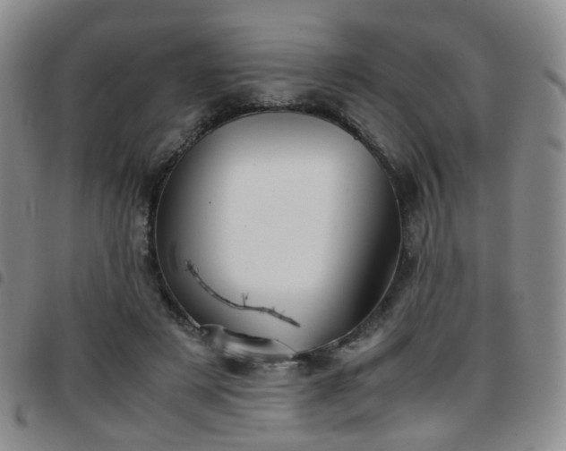 X0000097780497200803141811