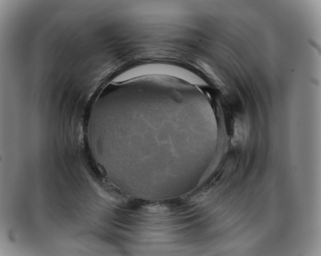 X0000097780500200803141811