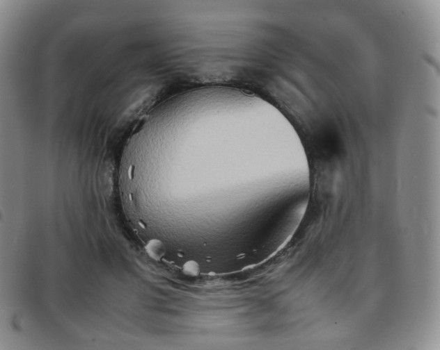 X0000097780501200803141811